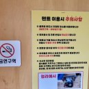 UR(경산시)-[삼성현로]-상-18 | 개별룸에서 아늑하게 즐길수있는 캠핑식당 고기요기 경산 재방문(+할로윈 이벤트)