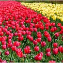 산과바다 이미지