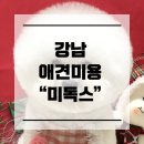 미독스 이미지