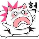 에스앤드 이미지