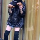 퍼피하우스 이미지