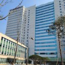 가오리와방패연 이미지