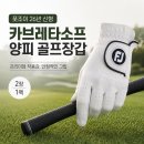 풋조이 - 용인시 기흥구 중부대로 2 | 풋조이 카브레타소프 양피 골프장갑 후기, 26년 신형 2장 1팩 써보니 만족했던 이유