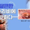활인가 뉴시스