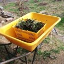 주현농장 이미지