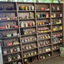 백조유치원 | [인천 동물체험][시흥 동물체험] 도심 속 피크닉을 즐기고 싶다면 [피크닉하우스]