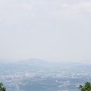 충청남도 천안시 동남구청 Daum카페