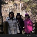 곡성-193 이미지