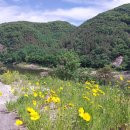 금강농장 이미지