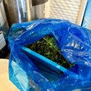 춘천진미닭갈비 | 영통 베이비하우스 근처 동네 맛집 추천! 춘천진미닭갈비 내돈내산 후기 :: 닭갈비, 치즈떡사리, 우동사리