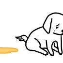 2019-주084 이미지