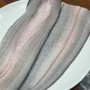 6시 내고향 함평 민물장어 전국택배 주문 판매처 월천수산