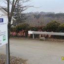 판관오리 이미지