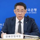금융안전