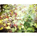 메리힐어린이집 이미지