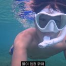 명지목산장 네이버블로그