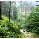 금강의하루민박 이미지