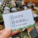 큰뜰농장(2) 네이버블로그