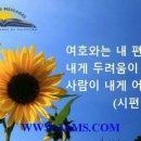싹난지팡이 이미지