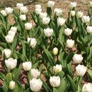 호박패밀리 (주)씨엠테크 | 빅테크 기업의 행보는 어떻게 될까