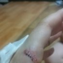 대일당구장 이미지