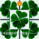 안암부동산공인중개사사무소 네이버블로그