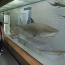 미현목장 이미지