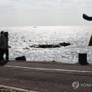 법환동-14 이미지