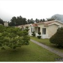 이디살래 이미지