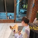 왕자세차장