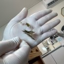 합성동304 | 마산스킨플래닝 피부관리 세라링 합성동 모리에스테틱