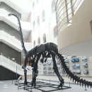 부경대학교박물관 이미지