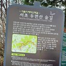 우면산 산책 이미지