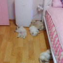 키고