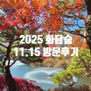 계리입구 소나무 숲 | 2025 화담숲 단풍 11.15 방문 모노레일 1구간 탑승 후기