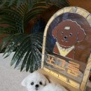 무지개공방 - 칠곡군 석적로 933-11 | 🐶 우리 강아지가 키링으로 살아 움직이는 느낌… 성수 포그룸 양모펠트 공방 후기