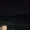 에덴바이크 네이버블로그