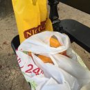 파리 몽쥬약국 쇼핑리스트