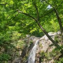 버들치민박 | [양양펜션민박협회] 22년 5월 봄 야유회, 정기총회 (정족산 천상의폭포)