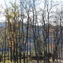 화성초등학교 이미지