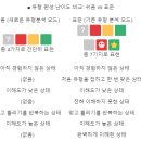 홀릭 트레이드