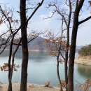 충주요트장 이미지