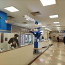 블루페퍼 안경 소사점 이미지