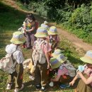 소새울어린이집 이미지