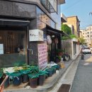 충북대 로컬맛집 최부짱 내돈내산 솔직후기
