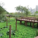 지곡초교 삼거리 이미지