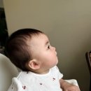 cafe lento 이미지