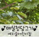 예지슬어린이집 이미지