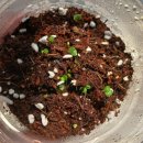 관악도시농업센터 화장실 | 관악치유농업 힐링가드닝