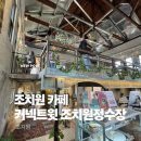 한국타이어 조치원판매(주) | [조치원 카페] 커넥트윗 조치원 정수장 : 조치원에 이런 곳이!?